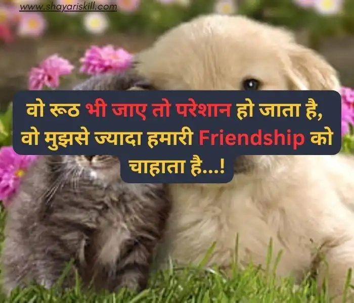 friendship shayari in hindi