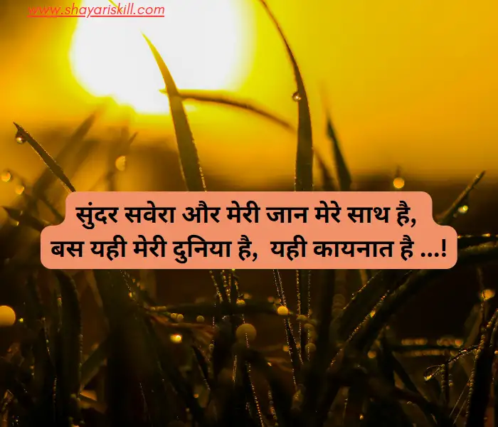 romantic good morning shayari hindi