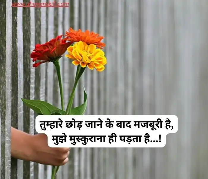 Best 100 Love Shayari In Hindi लव
