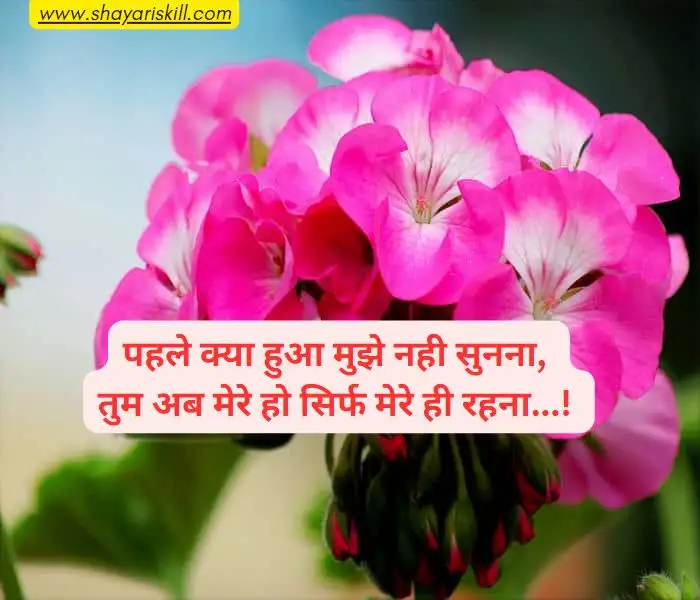 romantic shayari in hindi