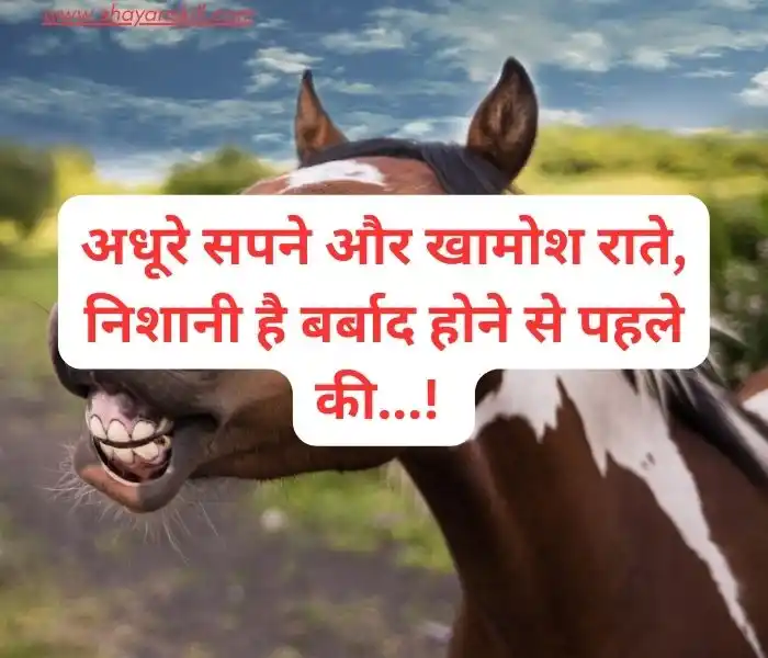 funny shayari in hindi
