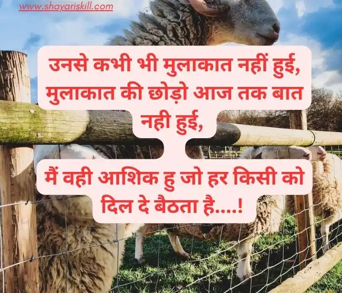 funny shayari in hindi