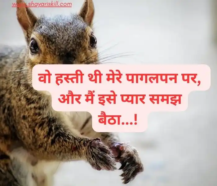 funny shayari in hindi