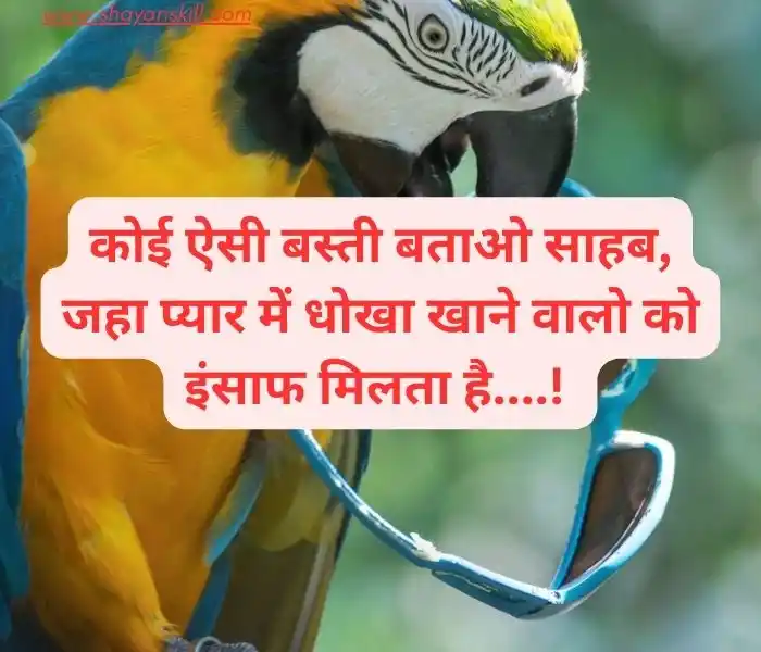 funny shayari in hindi