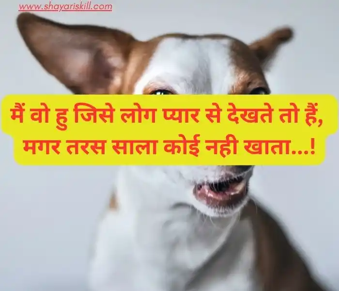 funny shayari in hindi
