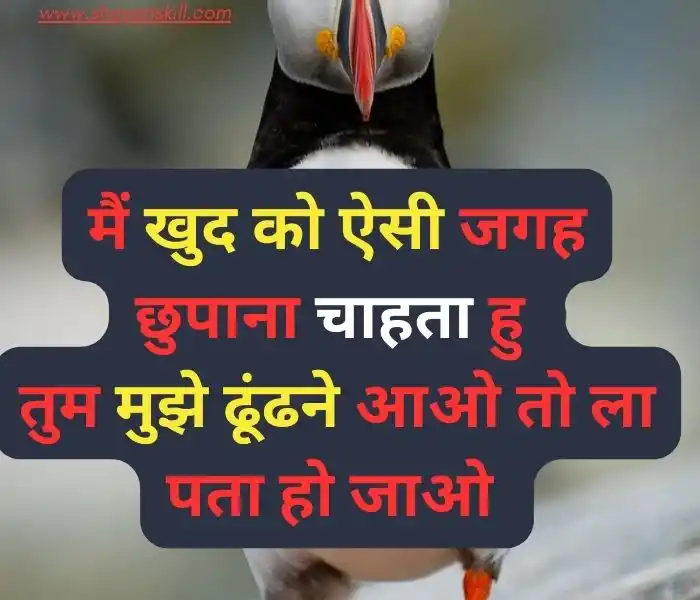 funny shayari in hindi