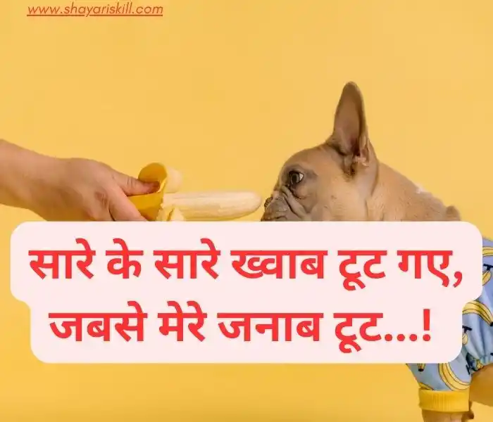 funny shayari in hindi