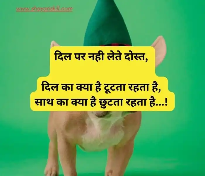 funny shayari in hindi