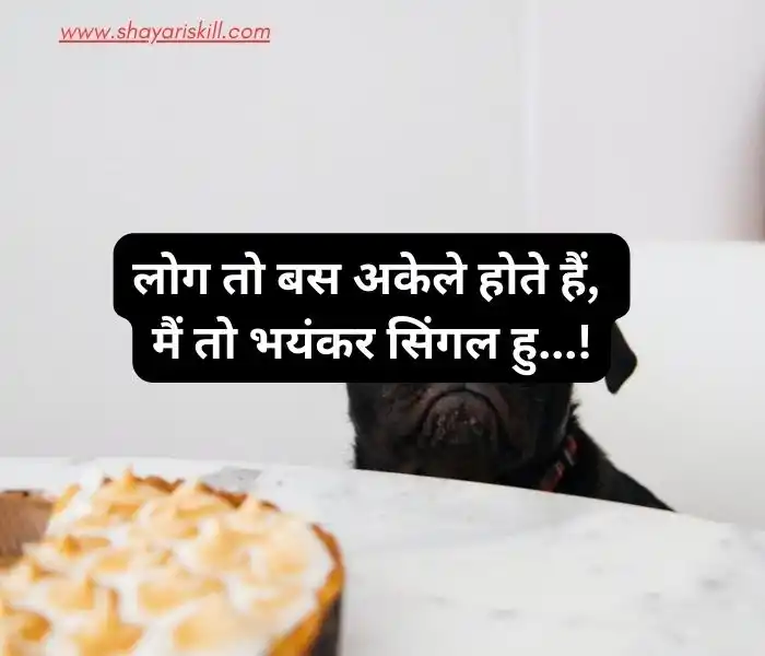 funny shayari in hindi