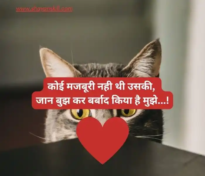 funny shayari in hindi