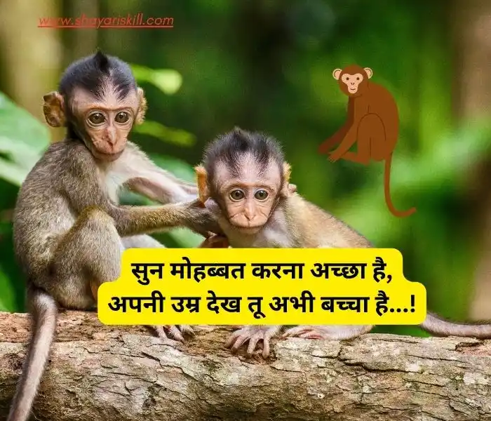 funny shayari in hindi
