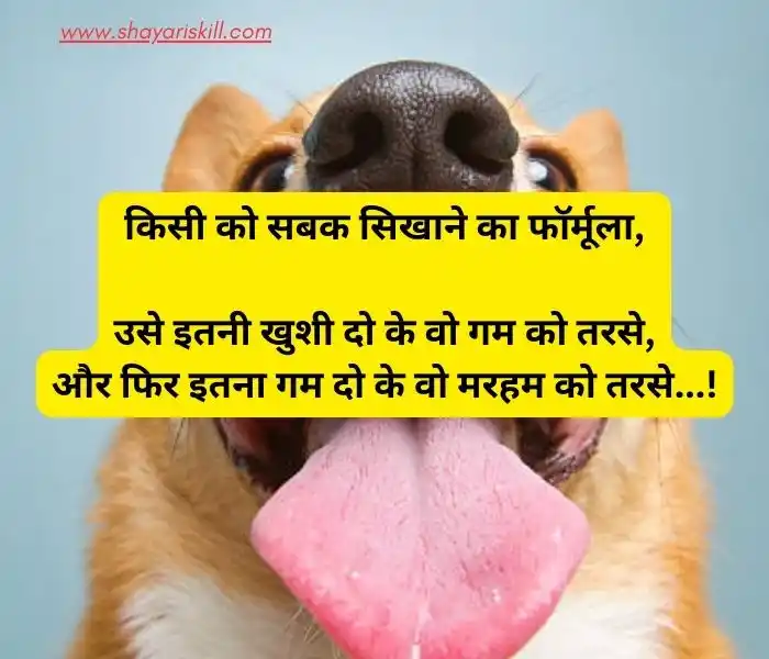 funny shayari in hindi