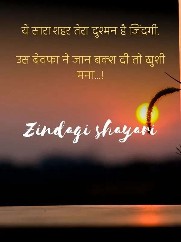 zindagi shayari in hindi