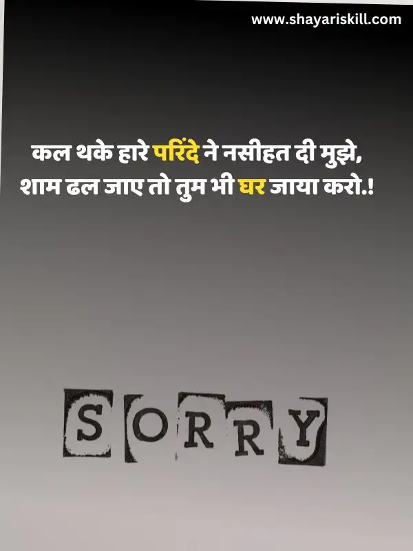 sorry shayari hindi