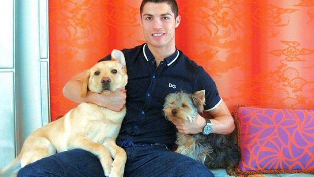 Cristiano Ronaldo Pets: A Look at His Beloved Animal Companions