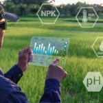 How Smart Sensors Improve Crop Monitoring