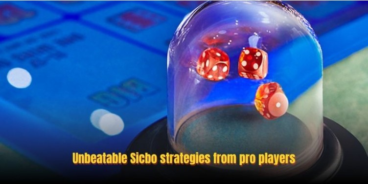 Sicbo Rules: Detailed 8day Sicbo Guide for Beginners
